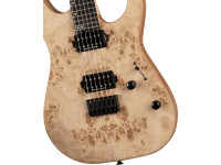 Charvel Pro-Mod DK24 HH HT E DS Charvel Pro-Mod DK24 HH HT E DS